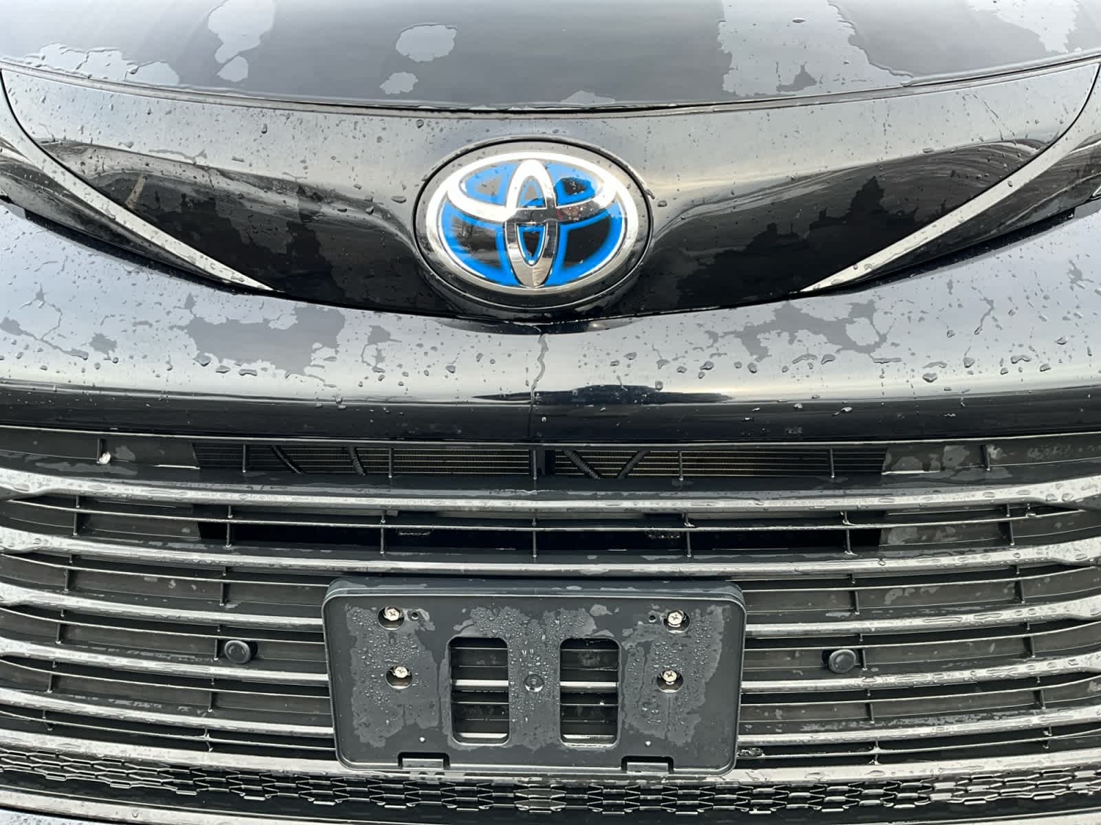 2025 Toyota Sienna Woodland Edition