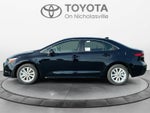 2026 Toyota Corolla Hybrid XLE