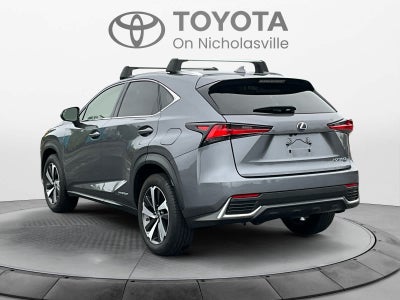 2021 Lexus NX 300h NX 300h