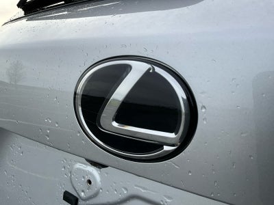 2019 Lexus NX 300 F SPORT