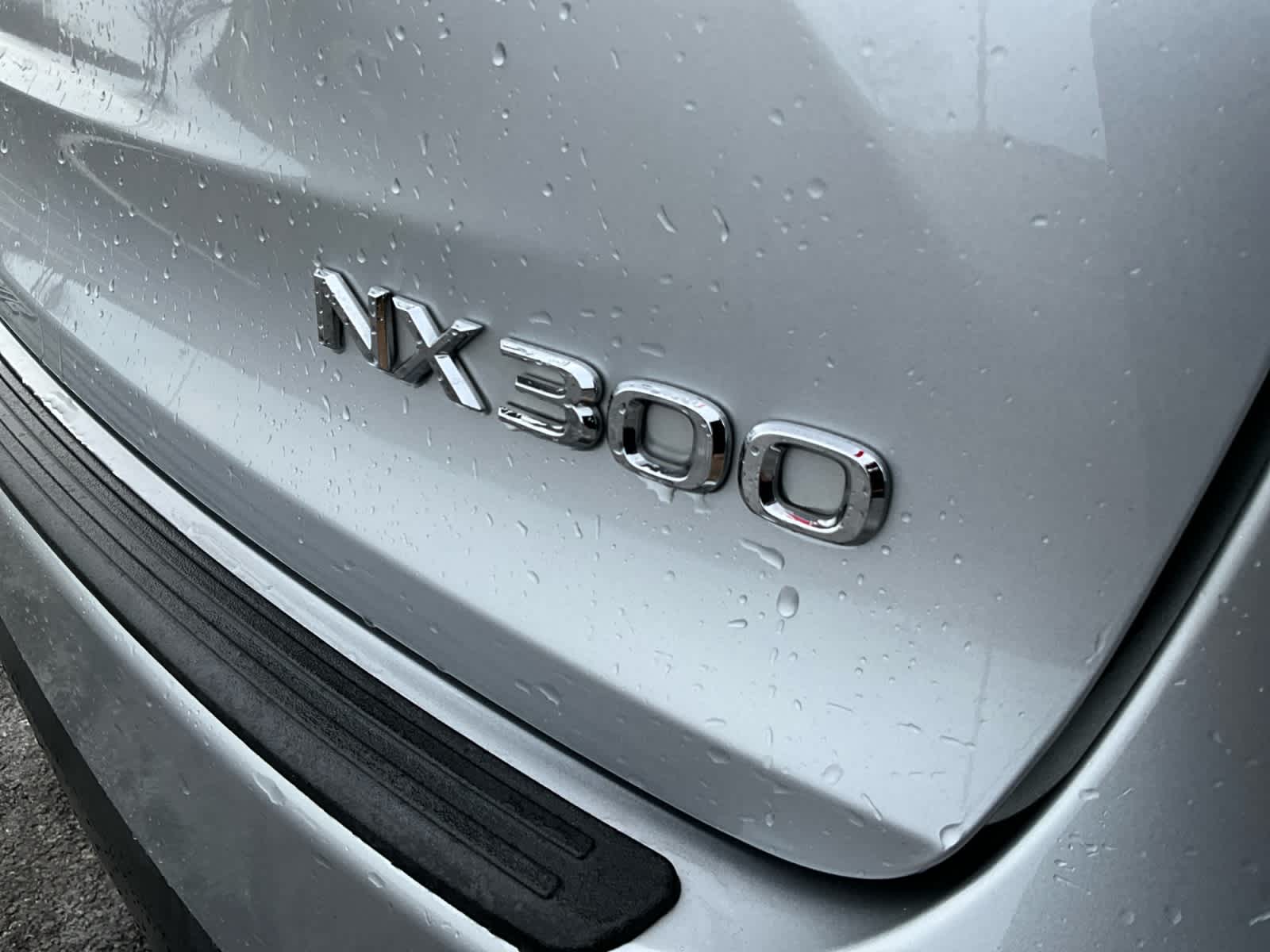 2019 Lexus NX 300 F SPORT