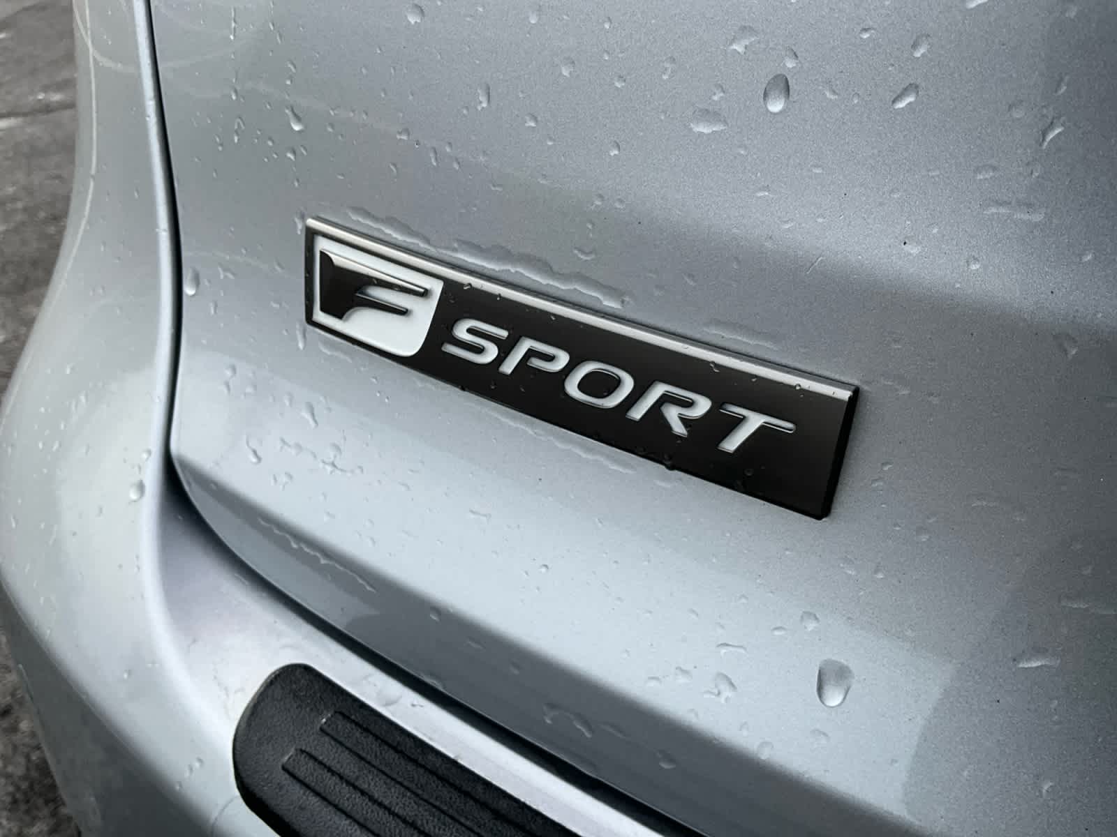 2019 Lexus NX 300 F SPORT