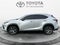 2019 Lexus NX 300 F SPORT