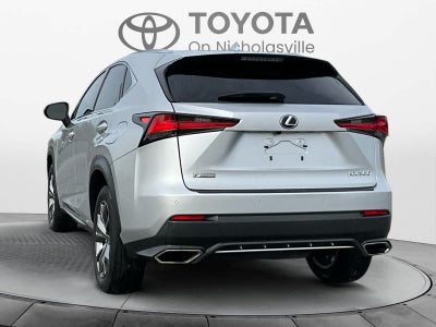 2019 Lexus NX 300 F SPORT