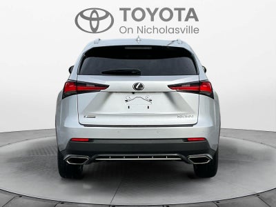 2019 Lexus NX 300 F SPORT