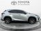 2019 Lexus NX 300 F SPORT