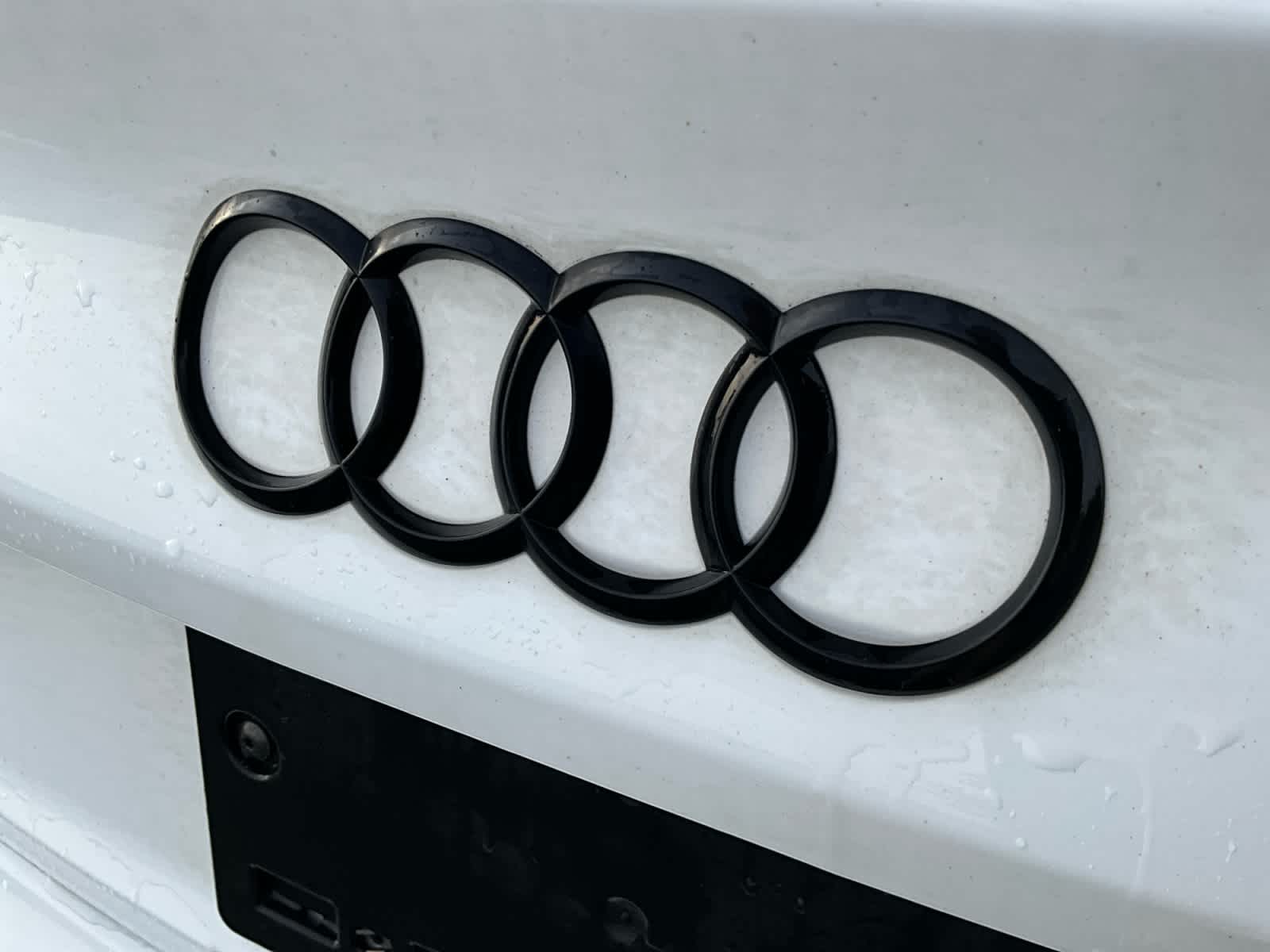 2021 Audi S5 Sportback Prestige