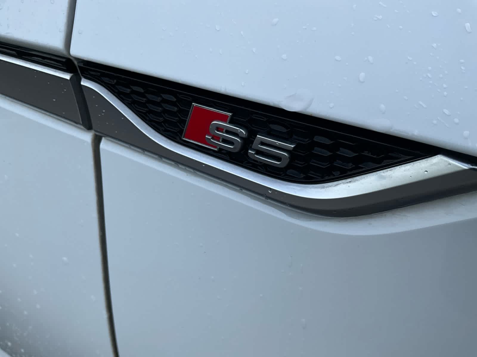 2021 Audi S5 Sportback Prestige
