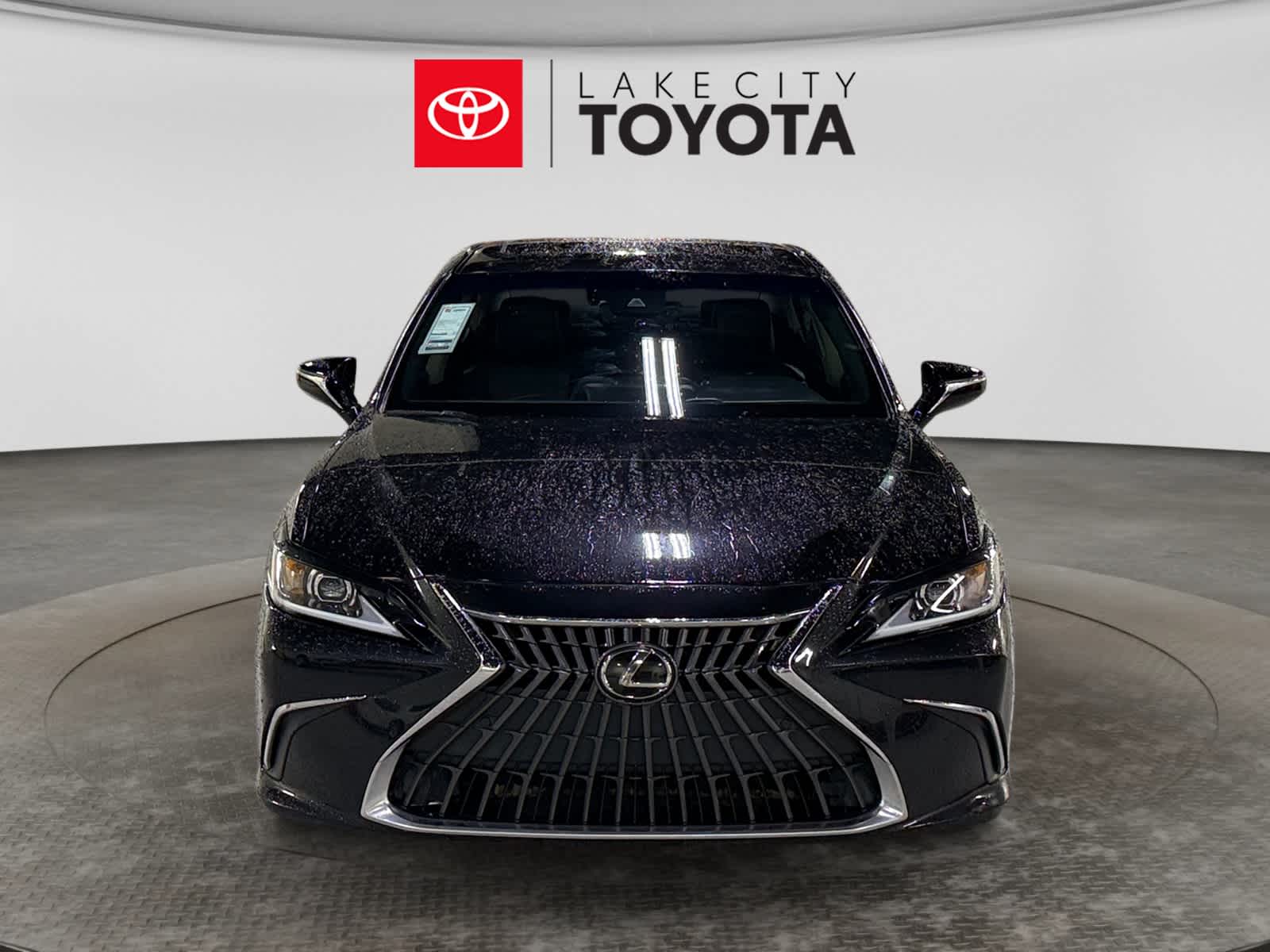 2023 Lexus ES 250 ES 250
