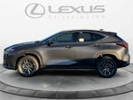 2026 Lexus NX 350 AWD