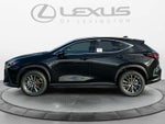 2026 Lexus NX 350 AWD