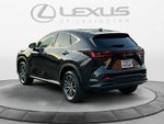 2026 Lexus NX 350 AWD