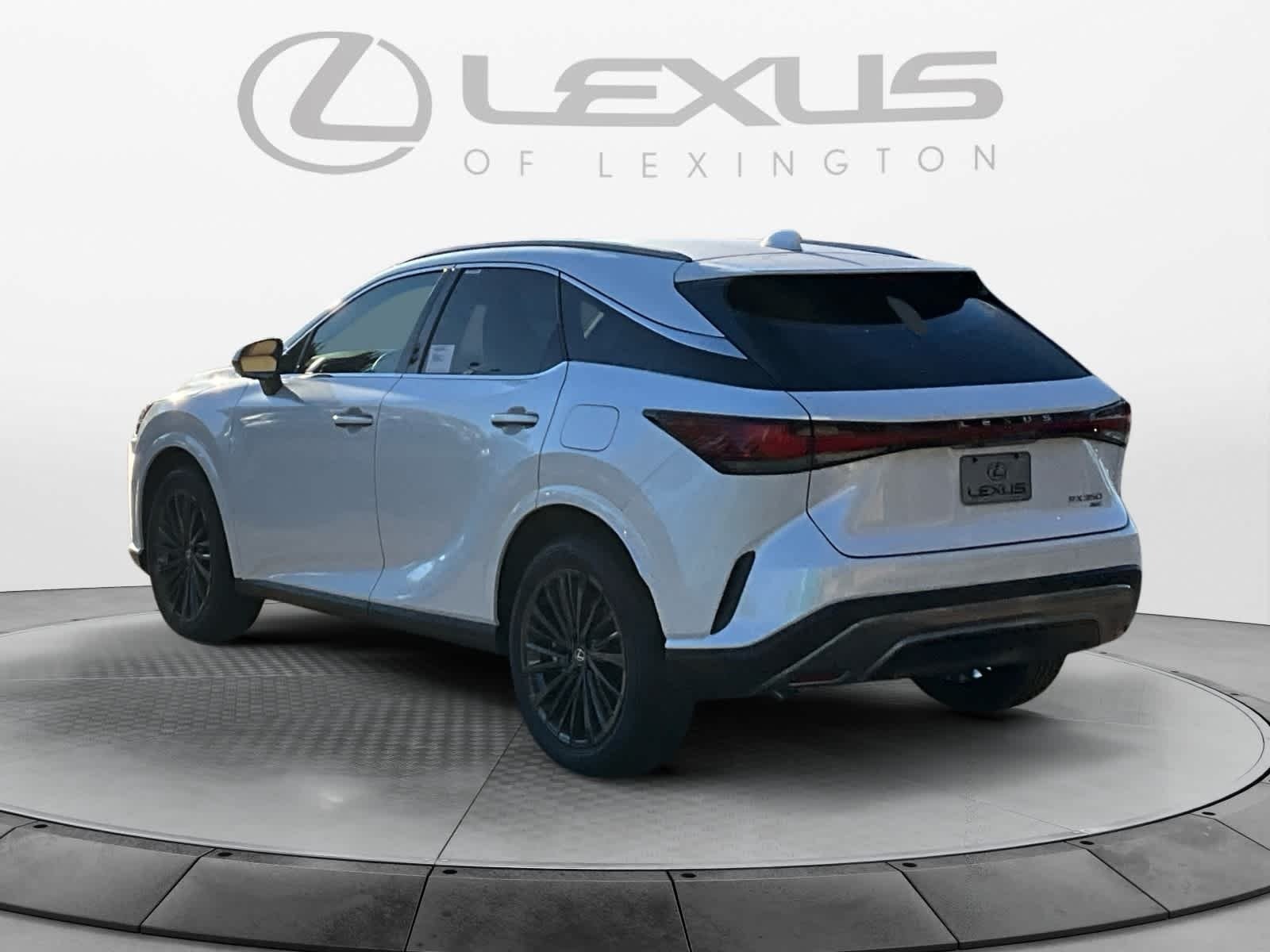 2025 Lexus RX 350 PREMIUM AWD