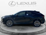 2025 Lexus RX 350 PREMIUM+ AWD
