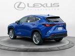 2025 Lexus NX 350 LUXURY AWD