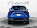 2025 Lexus NX 350 LUXURY AWD