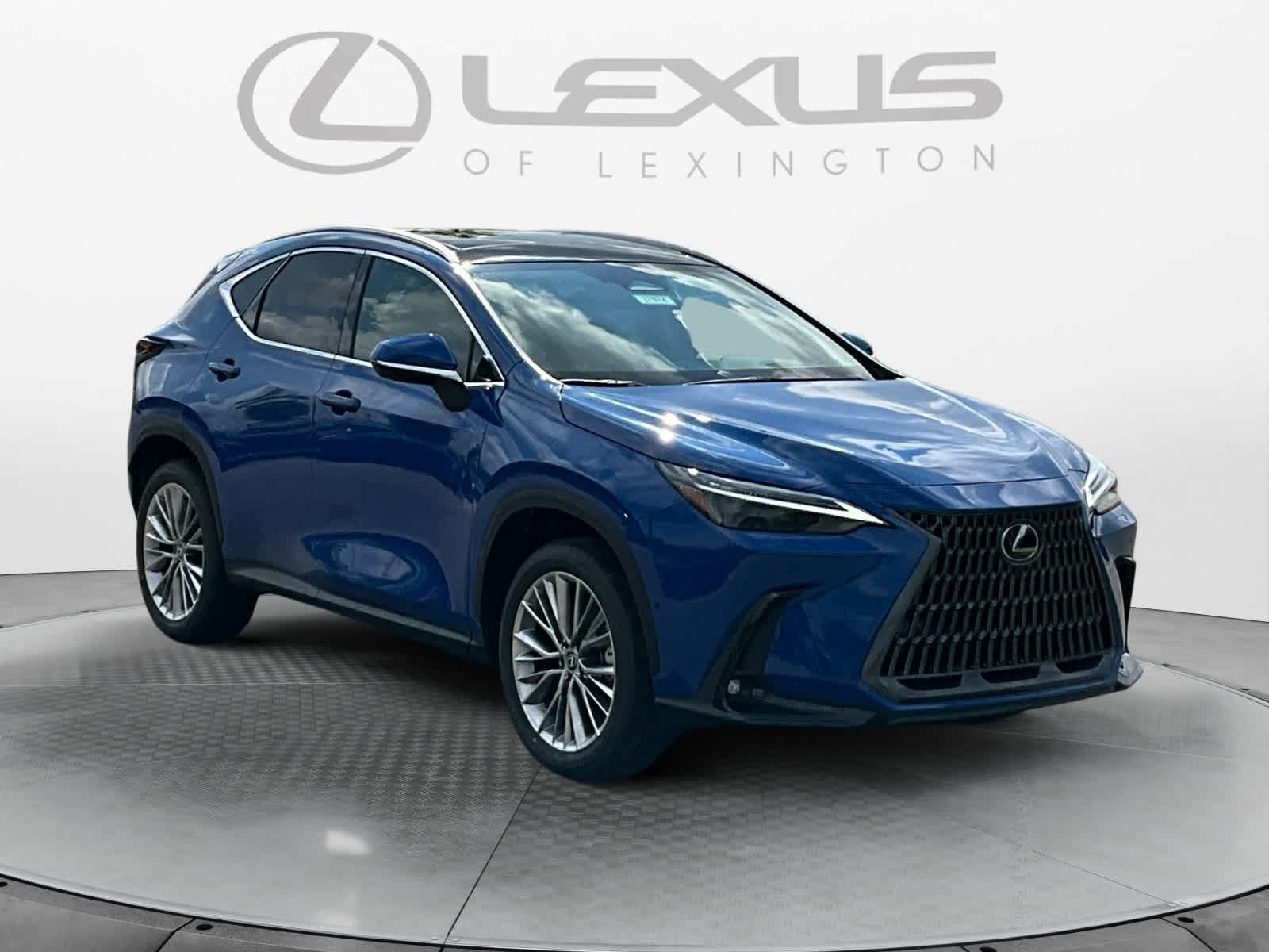2025 Lexus NX 350 LUXURY AWD