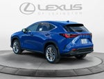 2025 Lexus NX 350 LUXURY AWD