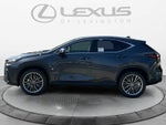 2026 Lexus NX 350 LUXURY AWD