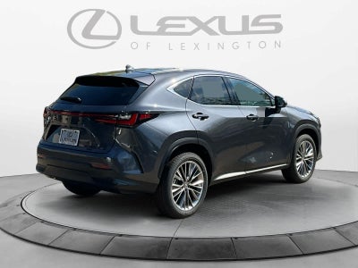 2026 Lexus NX 350 LUXURY AWD