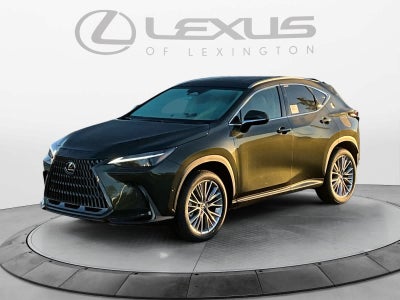 2026 Lexus NX 350 LUXURY AWD