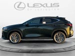 2026 Lexus NX 350 LUXURY AWD