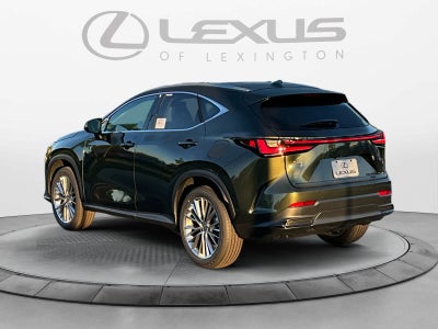 2026 Lexus NX 350 LUXURY AWD