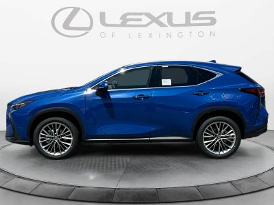 2025 Lexus NX 350 LUXURY AWD
