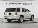 2018 Cadillac Escalade Platinum