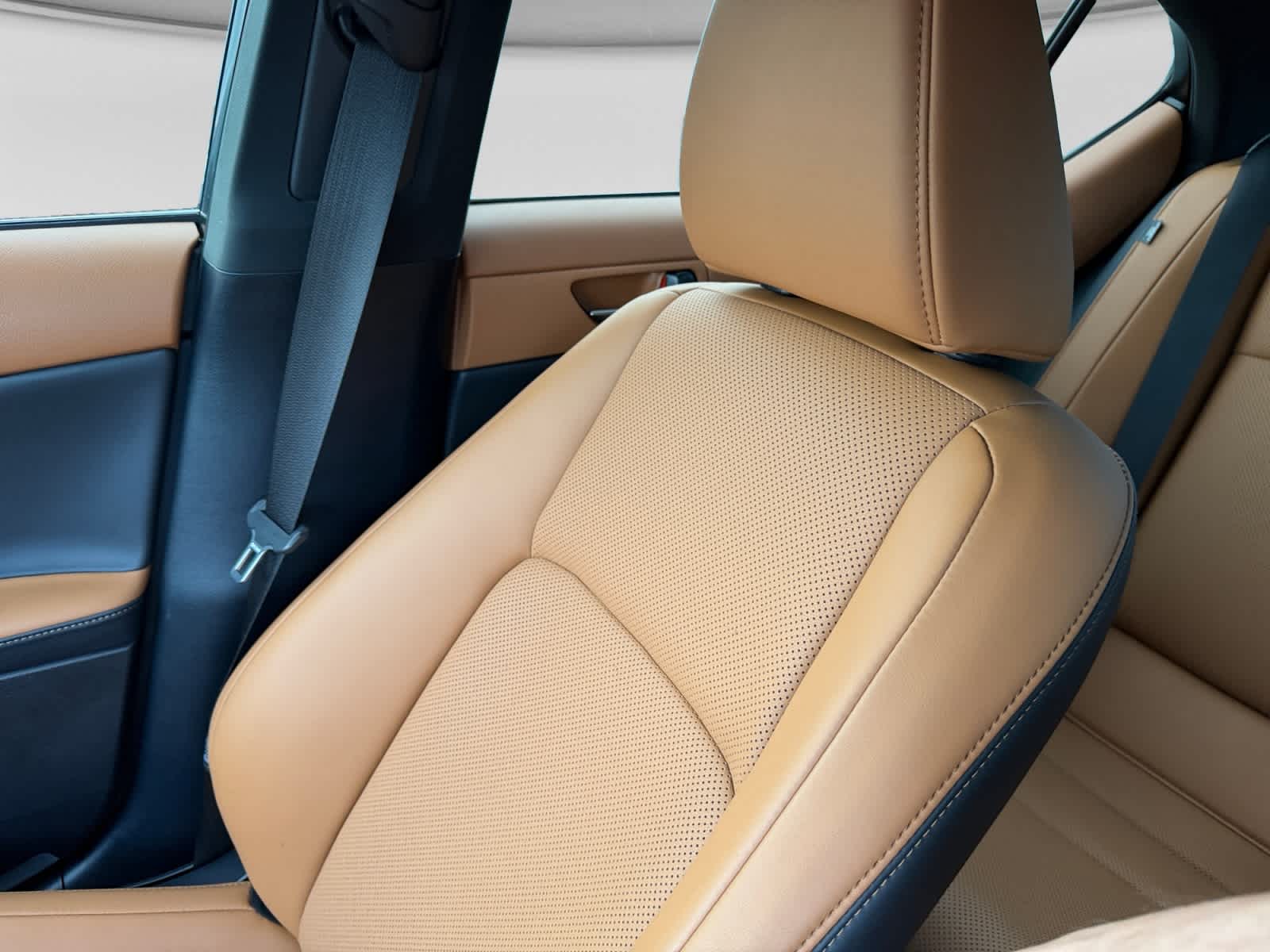 2025 Lexus IS 350 F SPORT Design