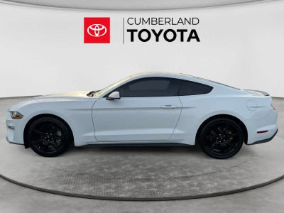 2019 Ford Mustang EcoBoost