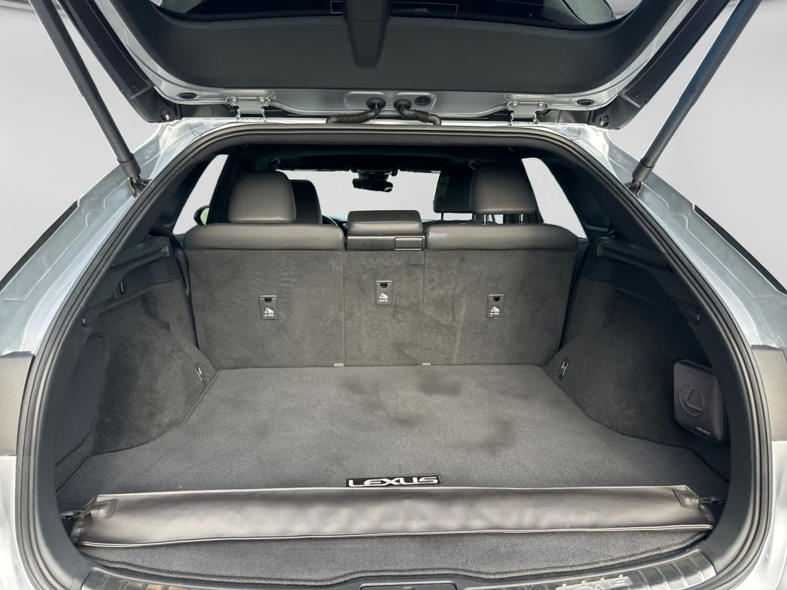 2023 Lexus RX 350h Premium Plus