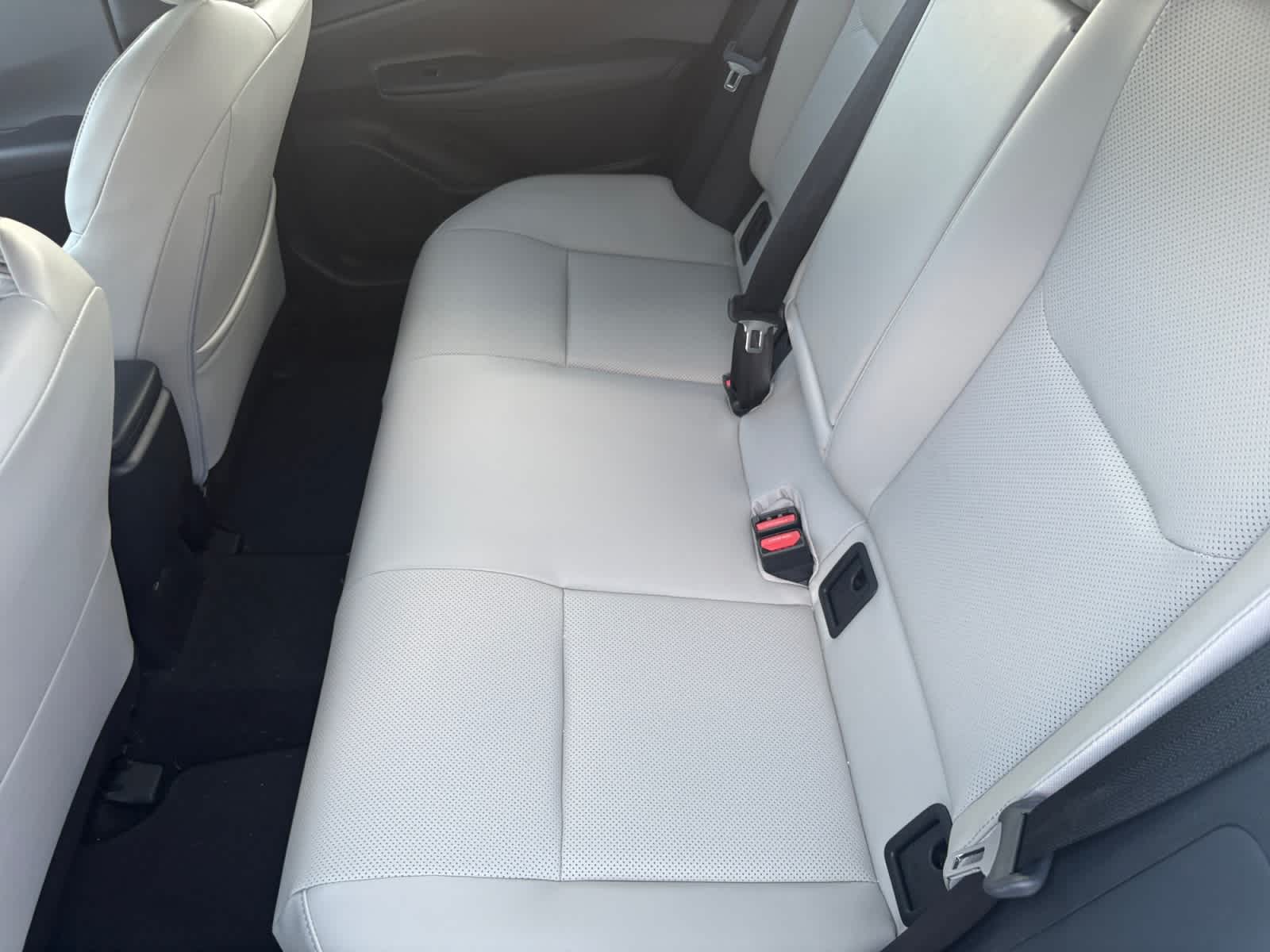 2024 Toyota Prius XLE